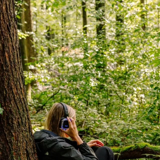 Forest bathing